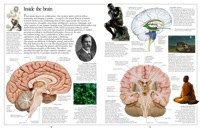 030-031_Inside_the_Brain