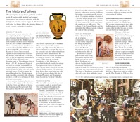 020-021_The_World_of_Olives