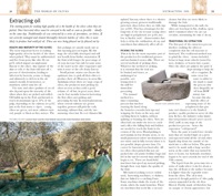 032-033_The_World_of_Olives