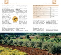 038-039_The_World_of_Olives