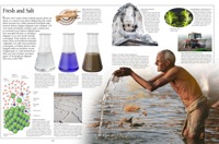 012-013_Fresh_and_Salt
