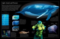 014-015_Light_Sound_and_Pressure