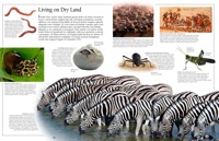 046-047_Living_on_Dry_Land