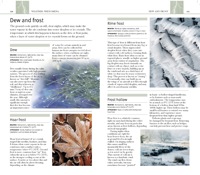 110-111_Frost